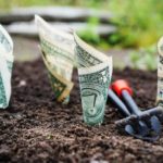 nnu income program