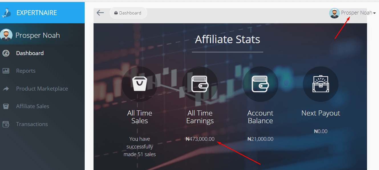expertnaire earning screenshot