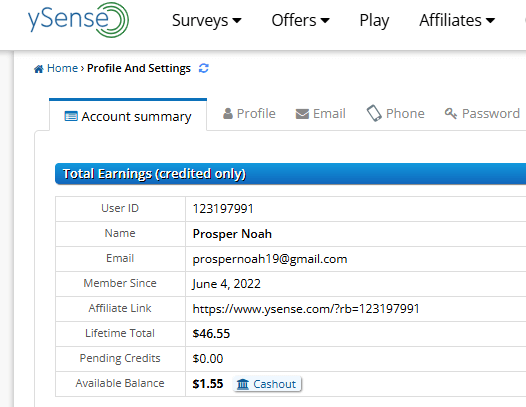 ysense payment proof